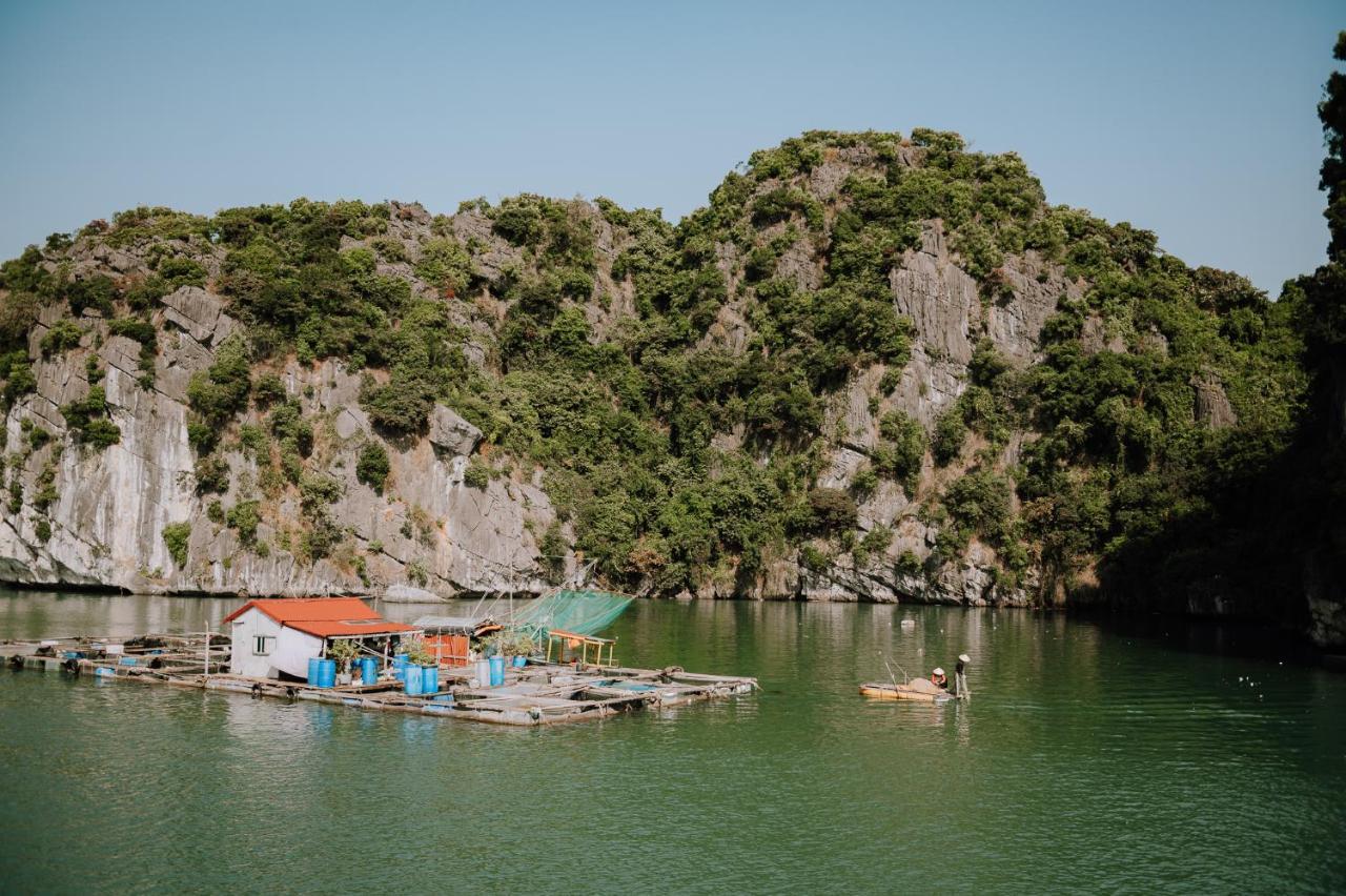 Cat Ba Bay Cruises Hotell Dong Khe Sau Eksteriør bilde