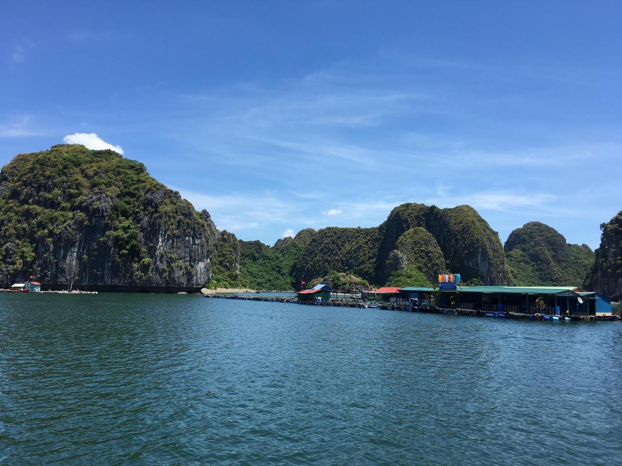 Cat Ba Bay Cruises Hotell Dong Khe Sau Eksteriør bilde