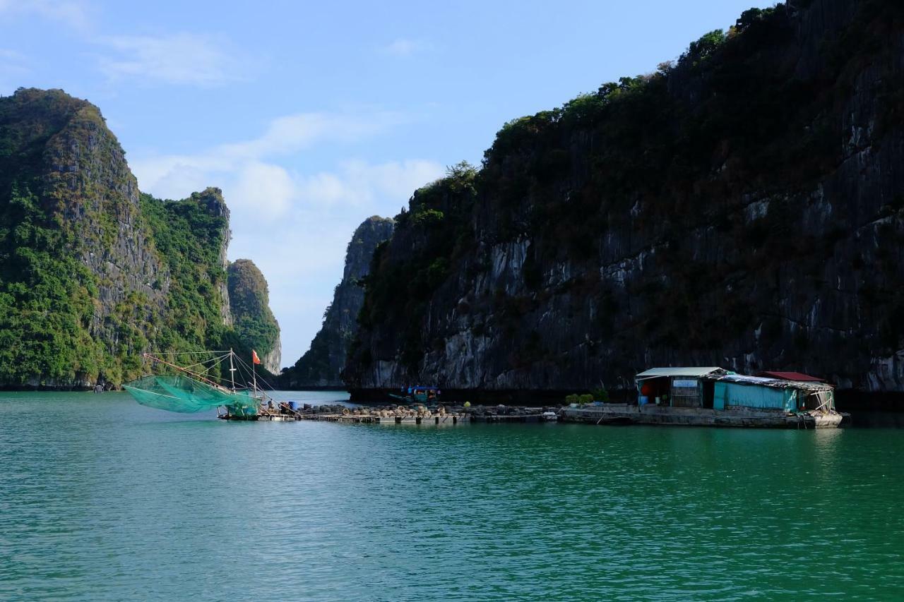 Cat Ba Bay Cruises Hotell Dong Khe Sau Eksteriør bilde